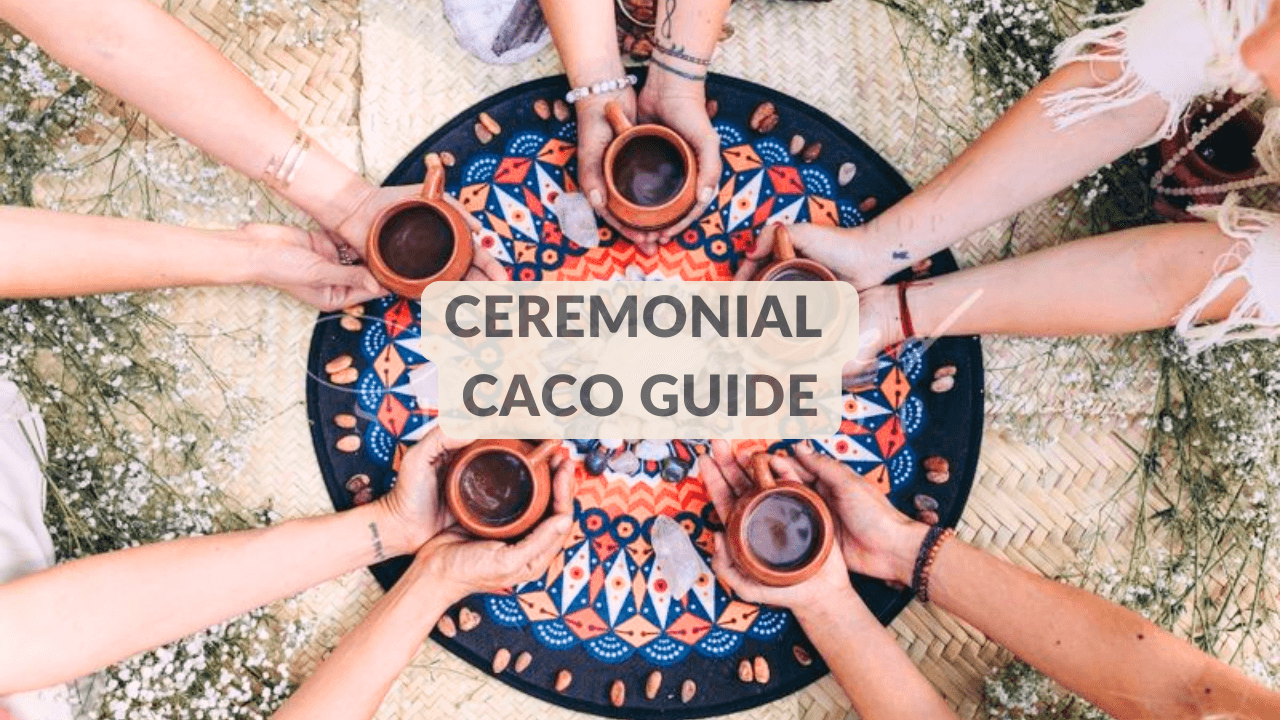 Cacao Facilitator Training Manual + Workbook